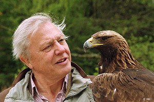 Attenborough