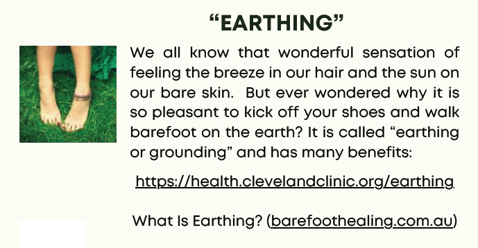 Earthing