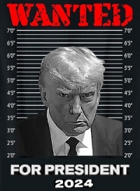 Donald Trump mug shot