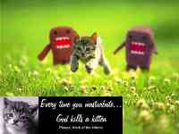 God kills kittens